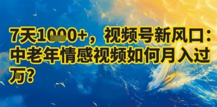 7天收益1k+，视频号新风口：中老年情感视频如何月入过W?-樵渔匹