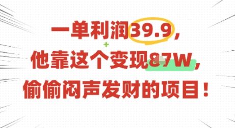 一单利润39.9,有人靠这个变现几十个,偷偷闷声发财的项目-樵渔匹