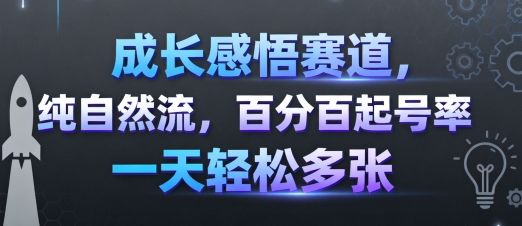 成长感悟赛道，纯自然流，百分百起号率 一天轻松多张-樵渔匹