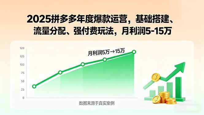 2025拼多多年度爆款运营,基础搭建、流量分配、强付费玩法,月利润5-15万-樵渔匹