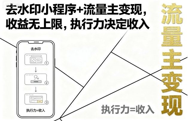 去水印小程序+流量主变现,收益无上限,执行力决定收入-樵渔匹