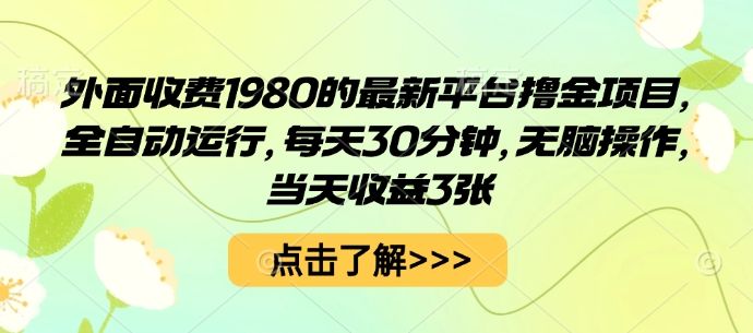 外面收费1980的最新平台撸金项目,全自动运行,每天30分钟,无脑操作,当天收益3张【揭秘】-樵渔匹