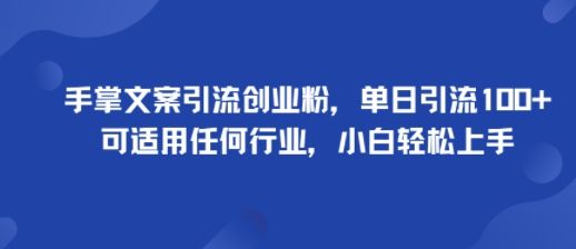 手掌文案引流创业粉,单日引流100+,可适用任何行业,小白轻松上手-樵渔匹