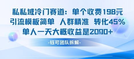 私域冷门赛道单个收费198米引流模板简单人群精准 45%的转化率单人一天大概收益多张-樵渔匹