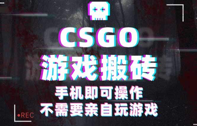 CSGO游戏挂机捡漏,单日扫货500+,年底小高峰上车可吃肉,手机即可操作...-樵渔匹