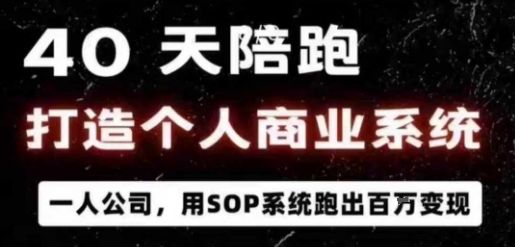40天陪跑打造个人商业系统,一人公司,用SOP系统跑出百W变现-樵渔匹