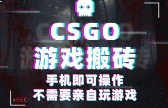 CSGO游戏挂G捡漏,单日扫货5张+,年底小高峰上车可吃肉,手机即可操作,兼职副业创业网创【揭秘】-樵渔匹