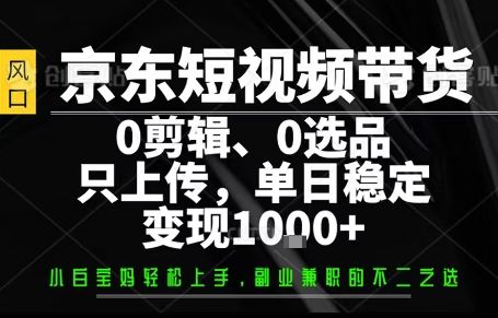 你出账号,我来运营,保底日入1k+,开启躺賺模式【揭秘】-樵渔匹