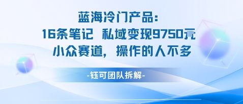 蓝海项目:16条笔记私域变现9750米小众赛道操作的人不多-樵渔匹