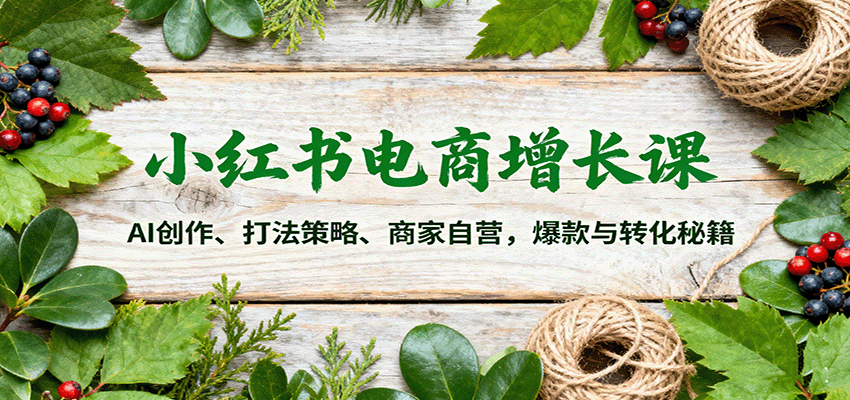 小红书电商增长课:AI创作、打法策略、商家自营,爆款与转化秘籍-樵渔匹