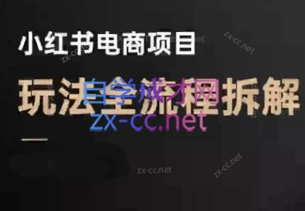 菲菲老师·小红书电商玩法(更新9月)-樵渔匹