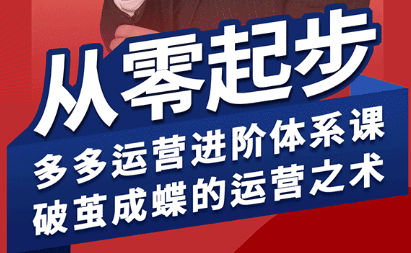 海神·拼多多运营进阶系统课(更新9月)-樵渔匹