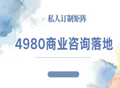 4980商业咨询师落地课程-ip运营高客单教程-樵渔匹