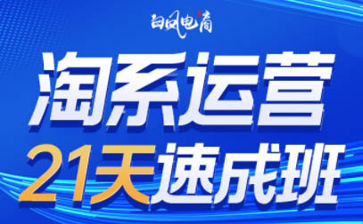 白凤电商·淘系运营21天速成班(更新9月)-樵渔匹
