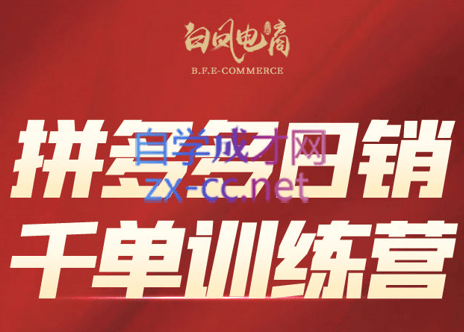 白凤电商·拼多多日销千单训练营(更新9月)-樵渔匹