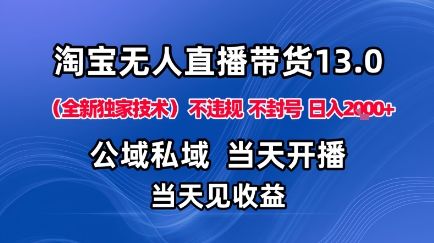 淘宝无人直播13.0,公域私域技术,不封号,不违规布局下半年旺季赛道,日入1K+(独家技术)【揭秘】-樵渔匹
