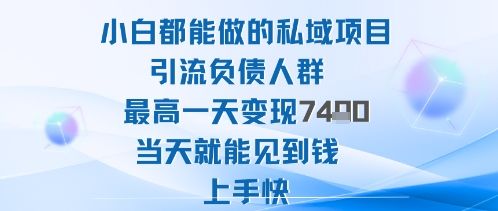 2025年小白都能做的私域项目引流负债人群最高一天变现1k+高变现难度低当天就能见到钱上手快-樵渔匹