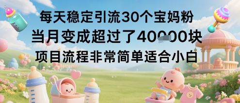 每天稳定引流30个宝妈粉当月变成超过了1W+项目流程非常简单适合小白-樵渔匹
