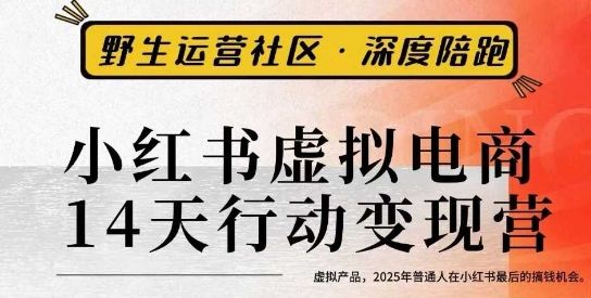 小红书虚拟电商14天变现训练营3.0,虚拟产品,2025年普通人在小红书最后的搞钱机会-樵渔匹