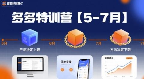 多多特训营,产品决定上限,方法决定下限,各种玩法技巧落地实操(更新)-樵渔匹