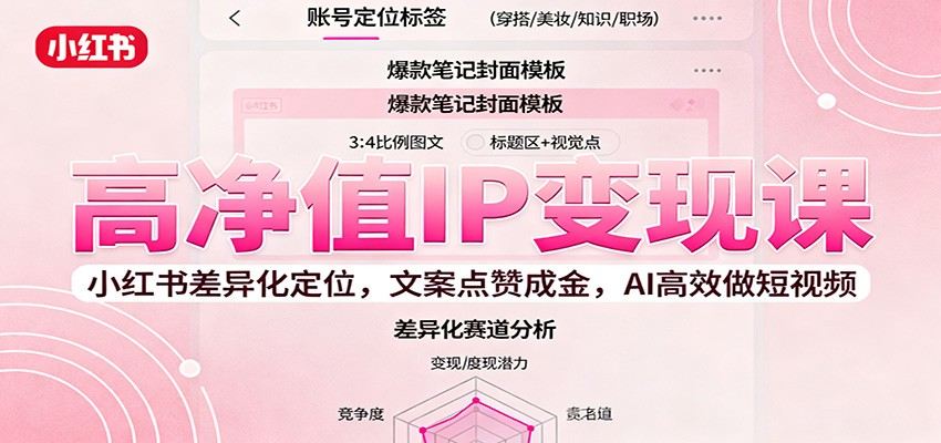 高净值IP变现课:小红书差异化定位,文案点赞成金, AI高效做短视频-樵渔匹