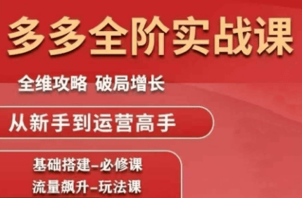 大炮·拼多多全阶实战课程(更新10月)-樵渔匹