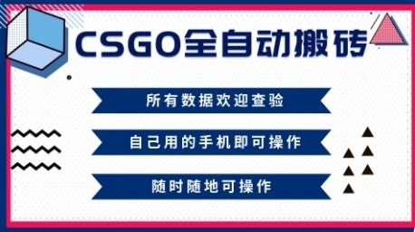 CSGO全自动搬砖，年底钱回家好项目，当天可拿到结果，新手小白轻松月入1W+【揭秘】-樵渔匹