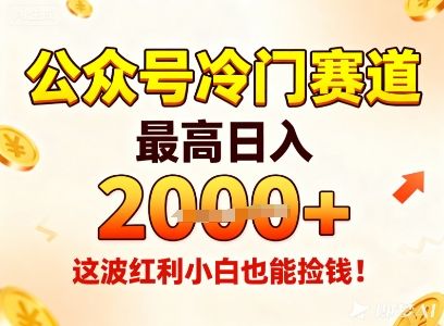 公众号冷门赛道，最高日入1k+，这波红利小白也能捡钱！-樵渔匹