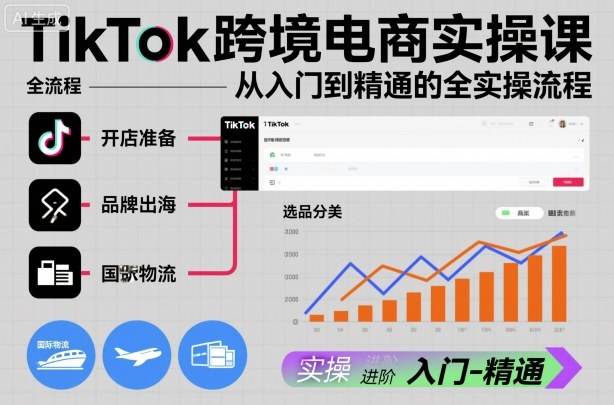 TikTok跨境电商实操课,从入门到精通的全实操流程-樵渔匹