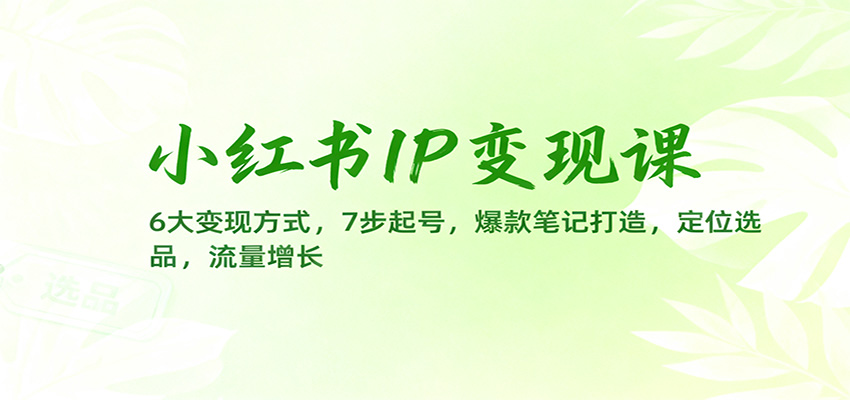 小红书IP变现课：6大变现方式，7步起号，爆款笔记打造，定位选品，流量增长-樵渔匹