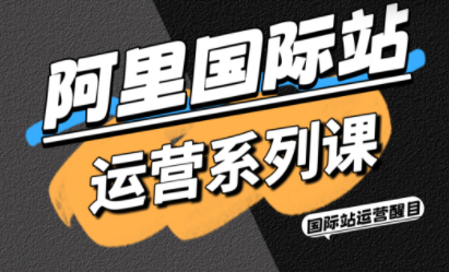 醒目老师·阿里国际站运营系列课(更新11月)-樵渔匹