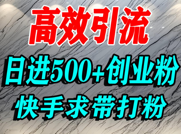 怎么打创业粉？快手求带视角精准引流创业粉，宝妈、学生群体日进500+精准流量-樵渔匹