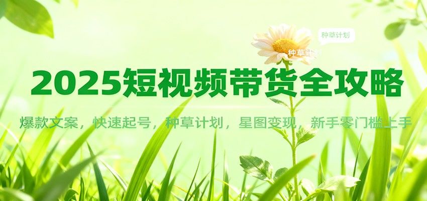2025短视频带货全攻略：爆款文案，快速起号，种草计划，星图变现，新手零门槛上手-樵渔匹
