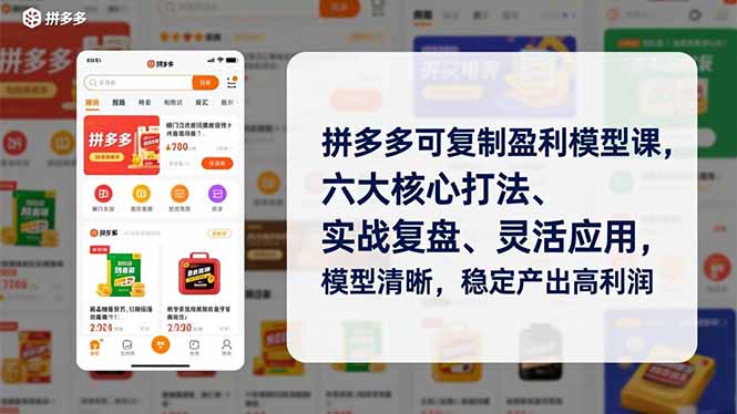 拼多多可复制盈利模型课,六大核心打法、实战复盘、灵活应用,模型清晰,稳定产出高利润-樵渔匹