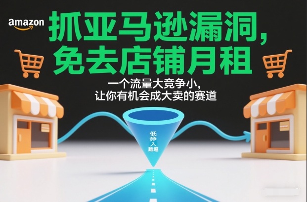 抓亚马逊漏洞，免去店铺月租，一个流量大竞争小，让你有机会成大卖的赛道-樵渔匹