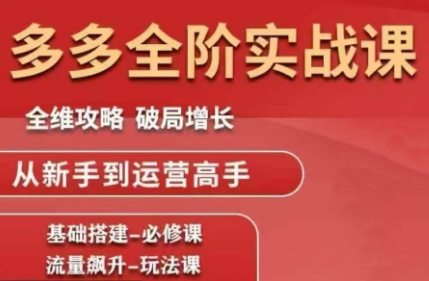 大炮·拼多多全阶实战课程(更新2026)-樵渔匹