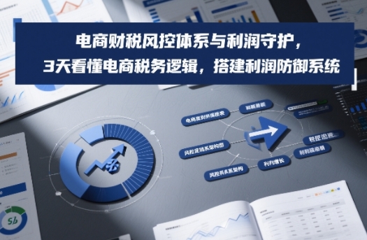 电商财税风控体系与利润守护，3天看懂电商税务逻辑，搭建利润防御系统-樵渔匹