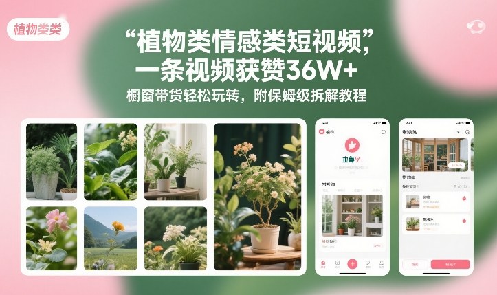 植物类情感类短视频，一条视频获赞36W+，橱窗带货轻松玩转，附保姆级拆解教程-樵渔匹