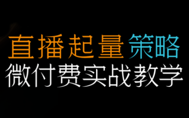 半野老师·直播带货起量与微付费必学课视频号(更新2026)-樵渔匹