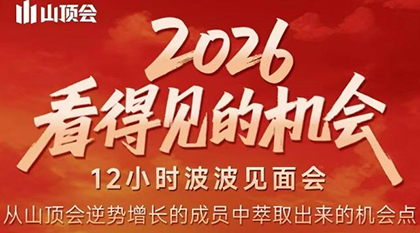 波波·2026看得见的机会12小时波波见面会(东莞线下课2月1日)-樵渔匹