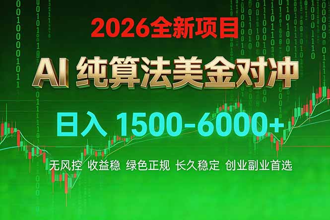2026 全新美金对冲项目，不套平台赠金，不封号，纯算法对冲，日入 1500-6000+-樵渔匹